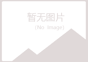 日照东港山柏机械有限公司